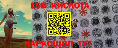 прущие грибы Ирбит