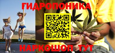 прущие грибы Ирбит