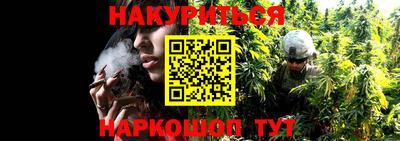 прущие грибы Ирбит