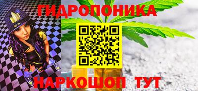 прущие грибы Ирбит