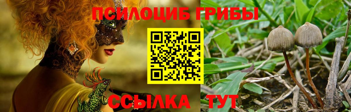 Галлюциногенные грибы ЛСД Ливны
